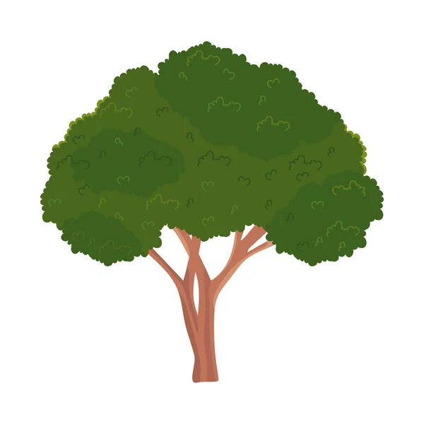 Árbol verde frondoso — Vector de stock