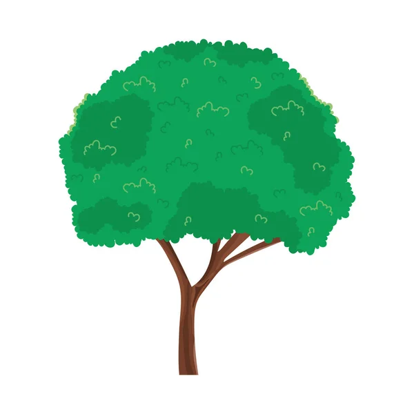 Ikon med lövträd — Stock vektor