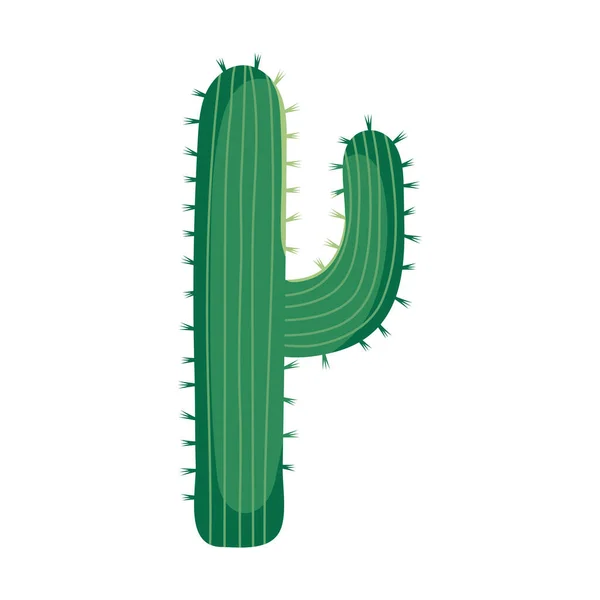 Icône de cactus vert — Image vectorielle