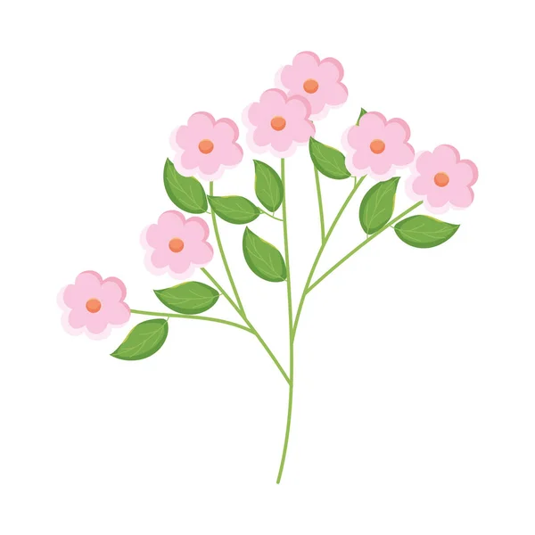 Fleurs roses plante — Image vectorielle