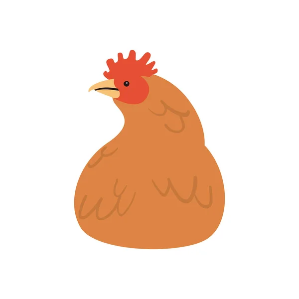 Diseño de pollo lindo plano — Archivo Imágenes Vectoriales