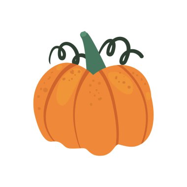 yassı turuncu balkabağı tasarımı