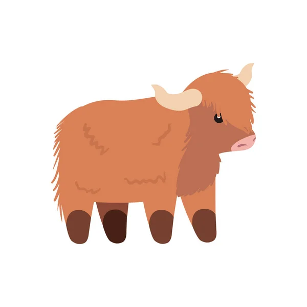 Projeto bonito búfalo plana —  Vetores de Stock
