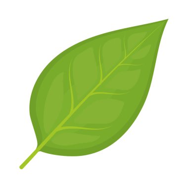yeşil yaprak simgesi
