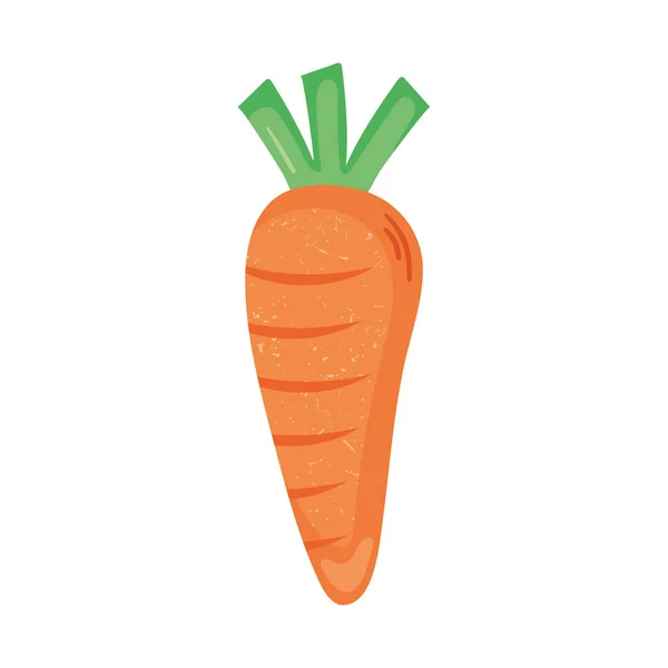 Carrot vegetable icon — Stock Vector