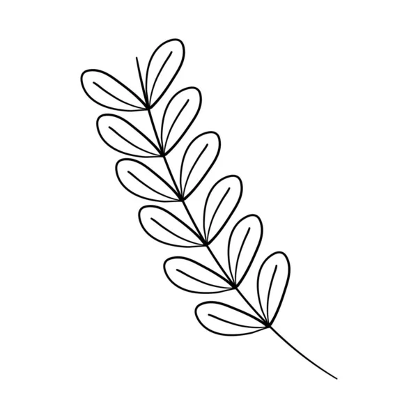Zweig dekorativer Blätter — Stockvektor