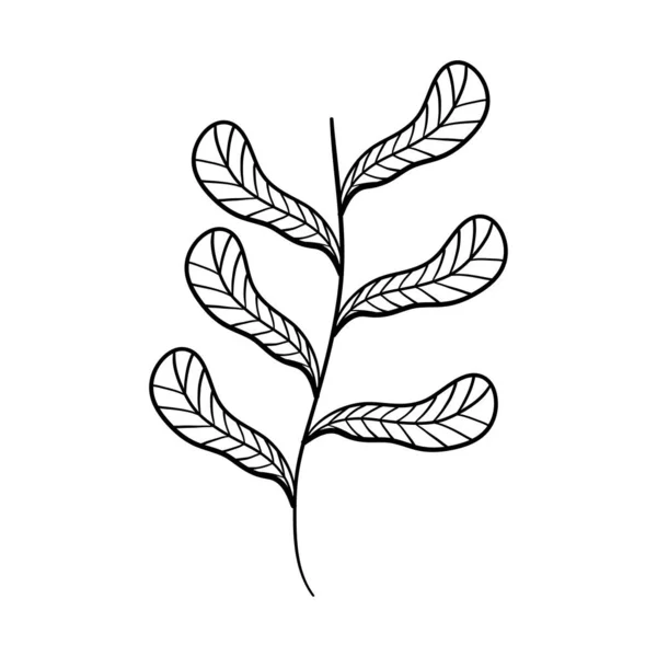 Rama de hojas decorativas — Vector de stock