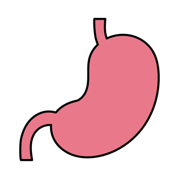 Значок желудка — стоковый вектор