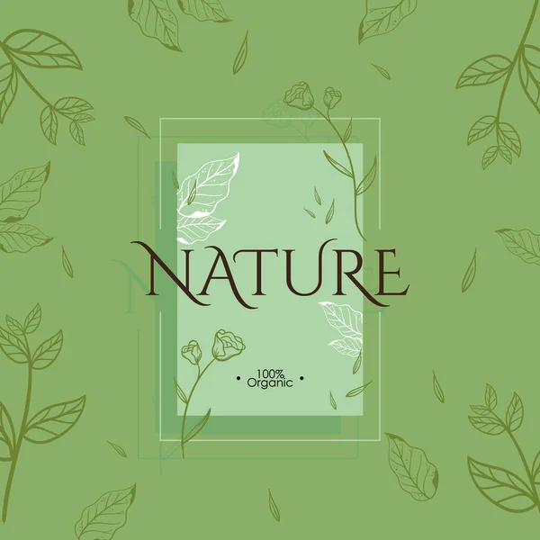 Nature cosmetic stamp — Stock Vector