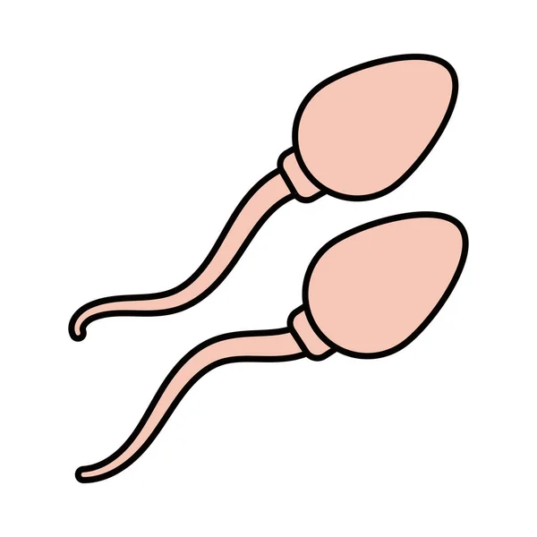 Icona spermatozoi isolato — Vettoriale Stock