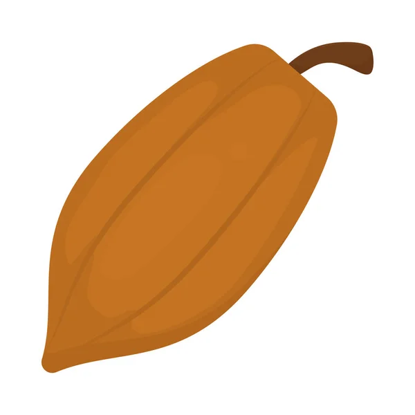 Kakaofrucht-Ikone — Stockvektor