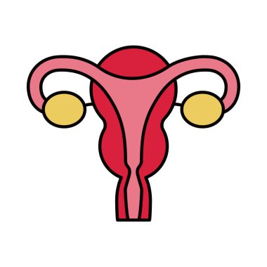 kadın üreme sistemi
