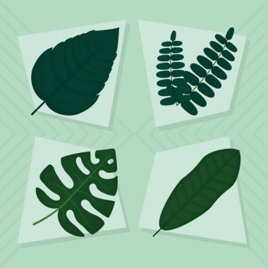 tropik yaprak simgesi koleksiyonu