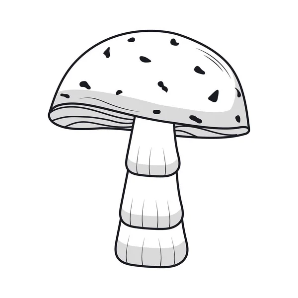 蘑菇图标图像 — 图库矢量图片