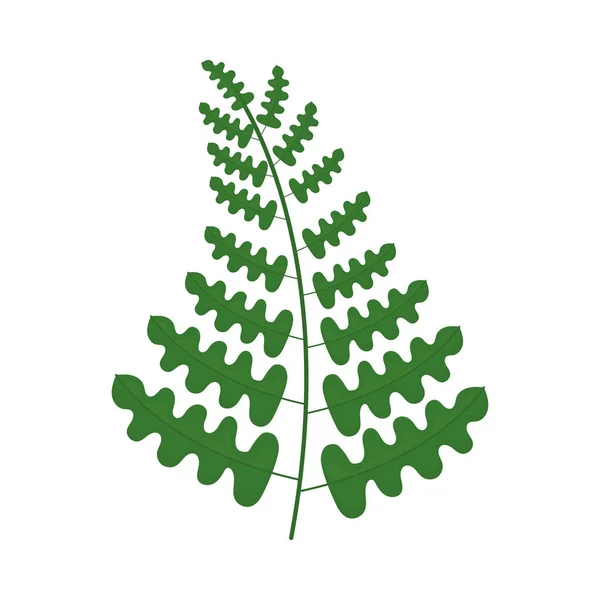 シダの葉のアイコン — ストックベクタ