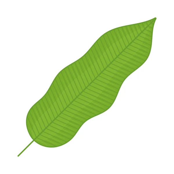 葉の長いアイコン — ストックベクタ