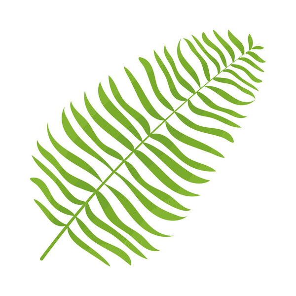 тропический пальмовый лист