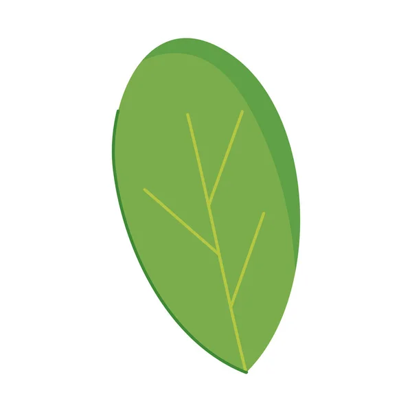 Spinazie blad pictogram — Stockvector