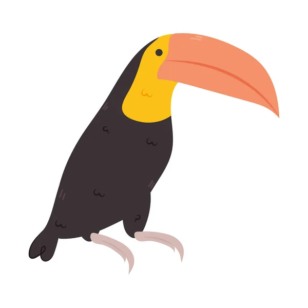 Εικονίδιο πουλιού toucan — Διανυσματικό Αρχείο