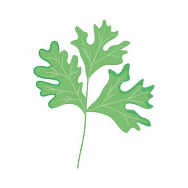 kişniş simgesi resmi