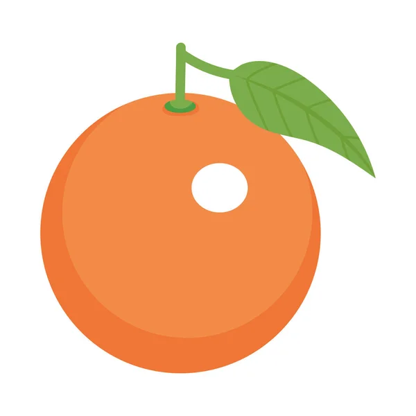 Orangenfrucht-Symbol — Stockvektor