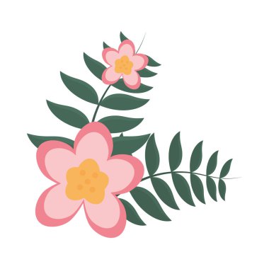 pembe çiçekler ve yapraklar