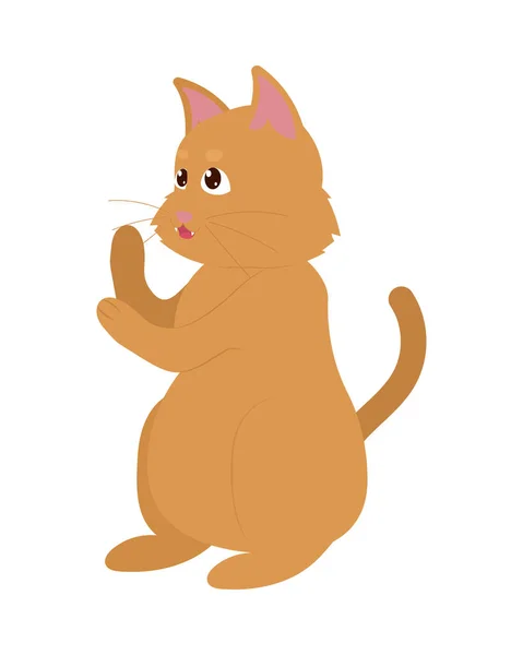 Sevimli kedi kahverengi — Stok Vektör