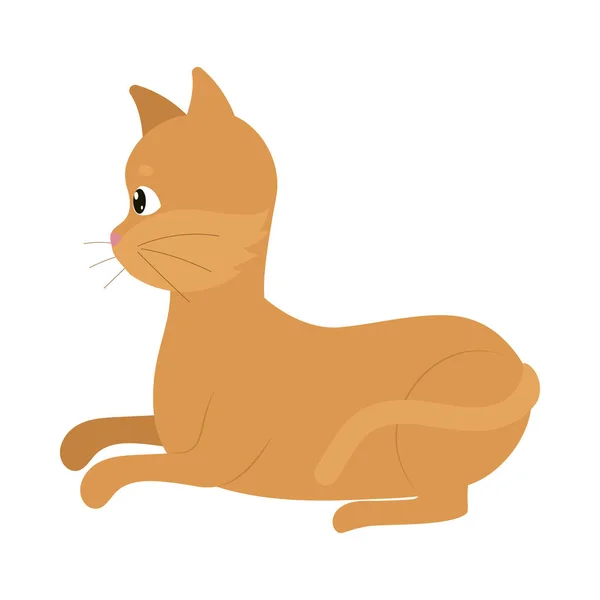 Şirin kedi simgesi — Stok Vektör