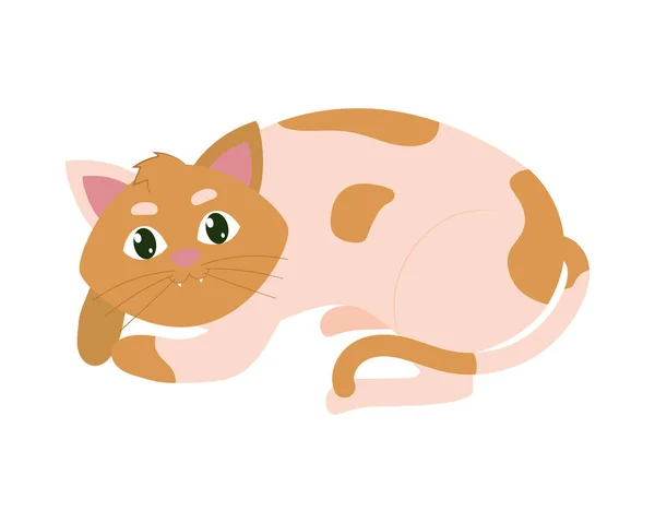 Icône chat sphynx — Image vectorielle