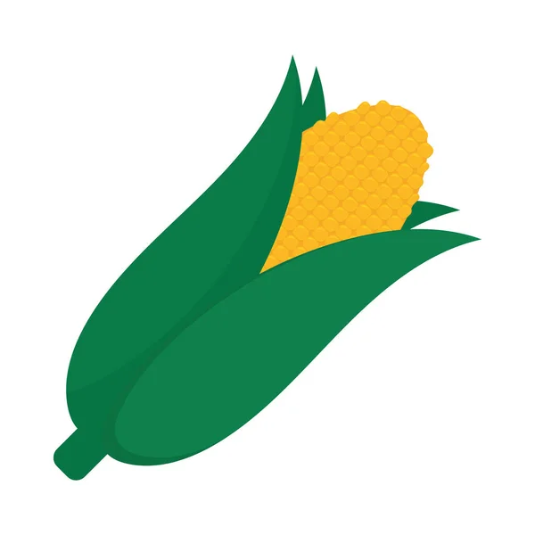 Ikona kolby kukurydzy — Wektor stockowy