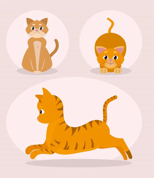 Lindo gatos icono conjunto — Archivo Imágenes Vectoriales