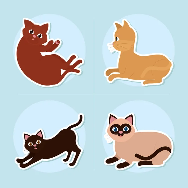 Conjunto de ícones de gatos — Vetor de Stock