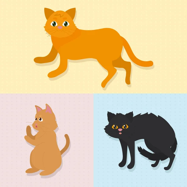 Niedlichen Katzen Symbole gesetzt — Stockvektor