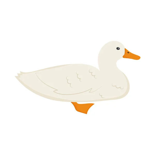 Cartoon duck icon — Stock Vector