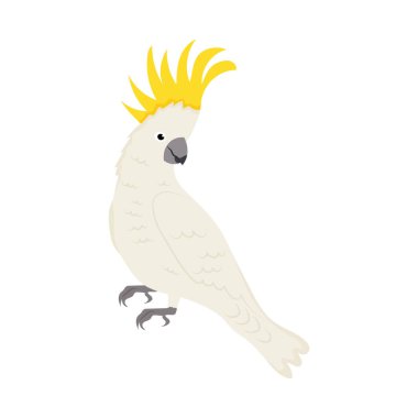 Papağan kuşu simgesi