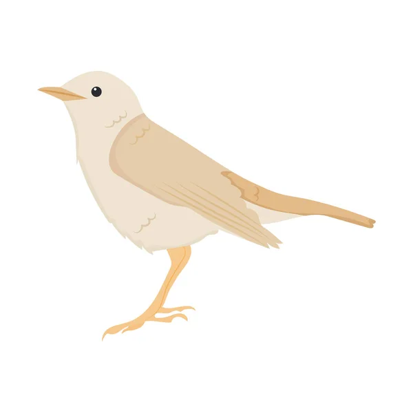Gorrión pájaro icono — Vector de stock
