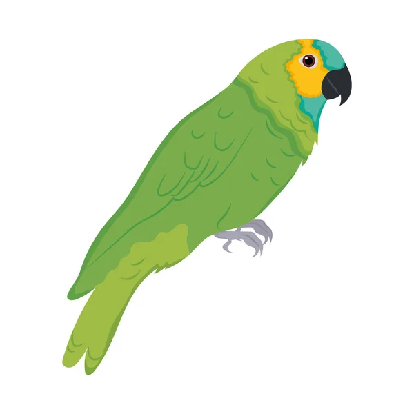 Icône oiseau perroquet — Image vectorielle