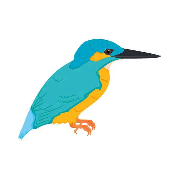 Kingfisher icono de pájaro — Archivo Imágenes Vectoriales