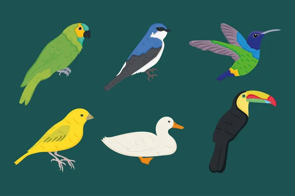 Conjunto de iconos aves — Vector de stock