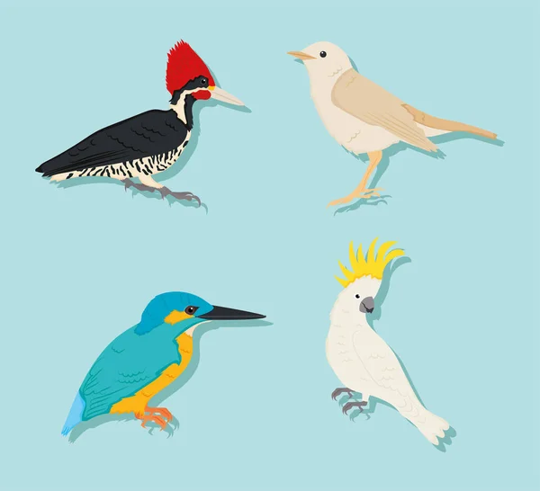 Cartoon vogels pictogrammenset — Stockvector