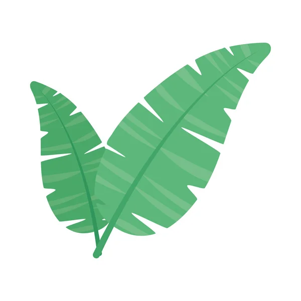 Icône de feuilles tropicales — Image vectorielle