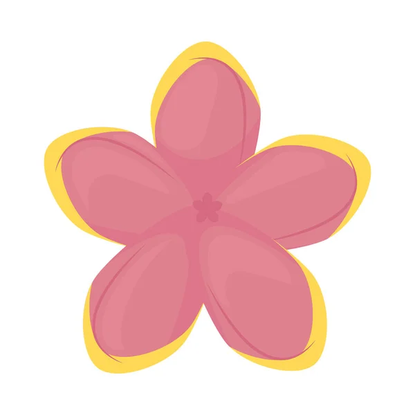 Pink lily flower icon — Stock Vector