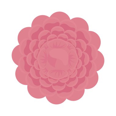 pembe çiçek simgesi