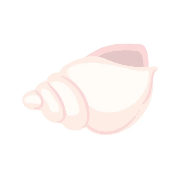 Παραλία conch εικονογράφηση — Διανυσματικό Αρχείο