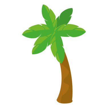 Plaj palmiyesi çizimi