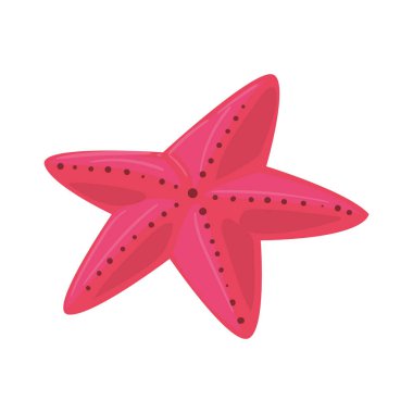 pembe denizyıldızı tasarımı