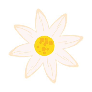 beyaz çiçek illüstrasyonu