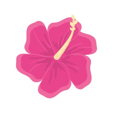 pembe orkide tasarımı