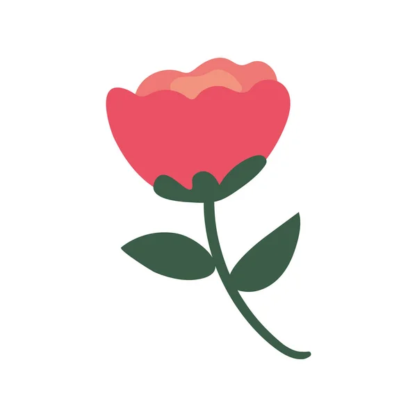 Τριαντάφυλλο με φύλλα — Διανυσματικό Αρχείο