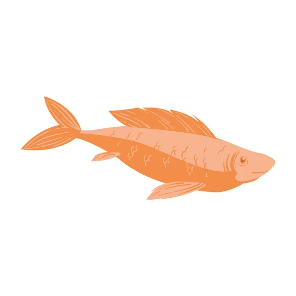 Diseño de pez naranja — Archivo Imágenes Vectoriales